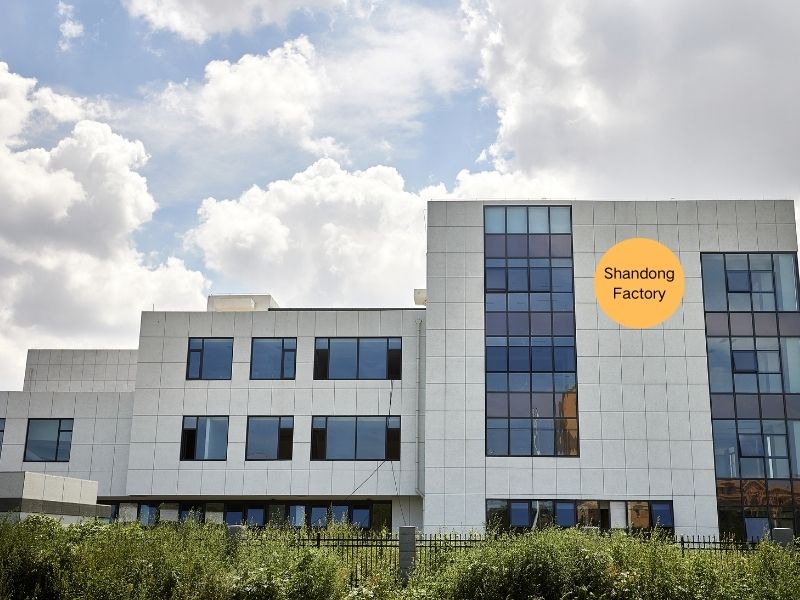 proveedor de esponjas de maquillaje en China proveedor de esponjas de maquillaje en China